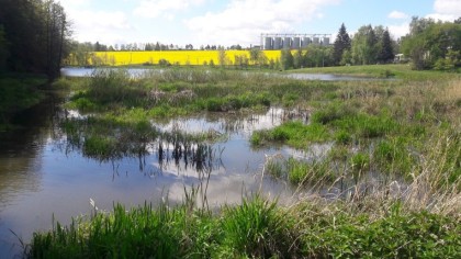 Vodohospodáři v povodí Odry vytváří mokřady, tůně i ostrovy v zátopách malých vodních nádrží