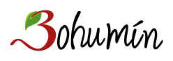 logo Bohumina
